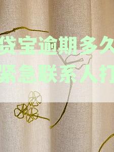 深入了解借贷宝逾期还款对征信记录的影响
