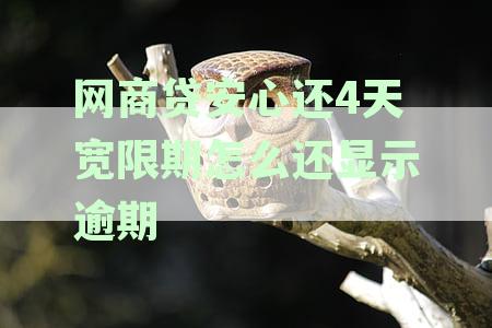 网商贷安心还4天宽限期逾期显示怎么办