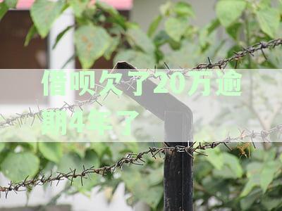 如何应对逾期4年的20万元借呗债务问题
