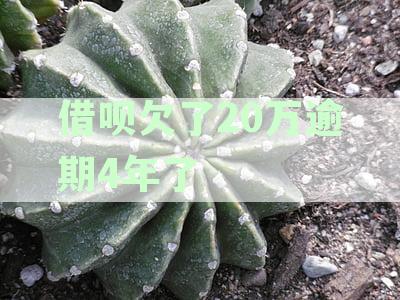 逾期4年，借呗20万欠款，是否面临起诉风险？