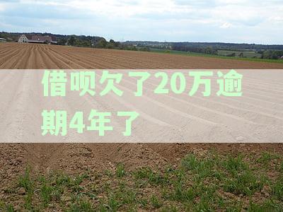 借呗欠了20万逾期4年了
