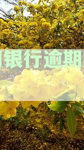 新网银行逾期被起诉了但确实没有钱还会怎么样-新网银行逾期会被起诉吗