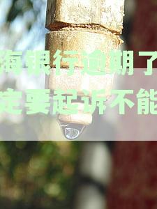 上海银行逾期多久会上征信：逾期、起诉时间点详解