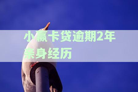 小赢卡贷逾期后多久会影响个人征信记录？