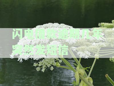 闪电借款逾期多年突然发短信警告将发律师函，如何应对？