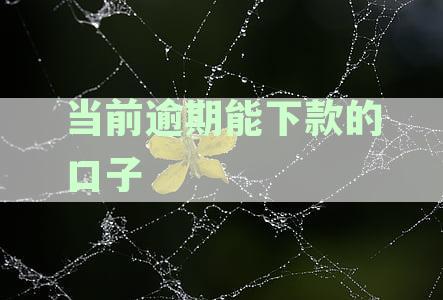 当前有逾期能下的口子2024：逾期贷款与应用选择