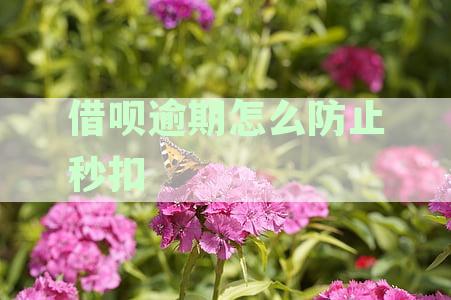 借呗逾期怎么防止秒扣