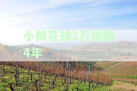 逾期4年未还的小鹅花钱2万，应该如何处理？