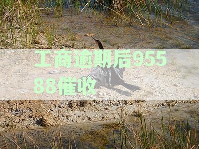 应对工商银行95588催收逾期贷款的实用策略