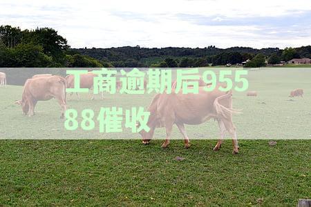 如何处理工商银行逾期问题，95588客服为您解答