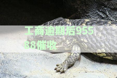 工商银行逾期4个月催收说上门合法吗？如何应对，催收通知书多久收到？