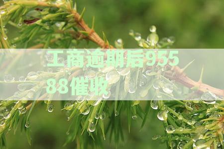 工商逾期后95588催收