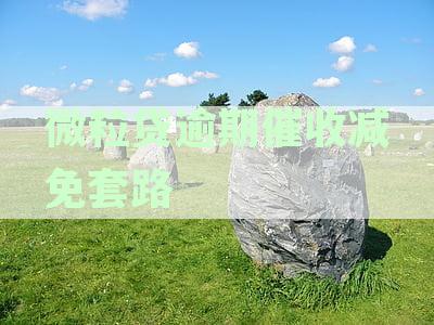 微粒贷逾期减免是真的吗：利息减免政策及催收套路解析