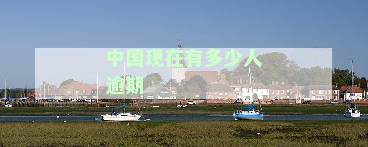 中国逾期负债人数探析：现状与影响