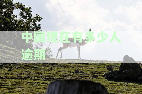 中国现在有多少人逾期过亿：2021债务与贷款逾期状况分析