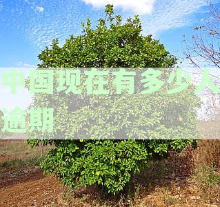 2024年逾期负债人数统计：众安贷及还不上欠债者情况分析