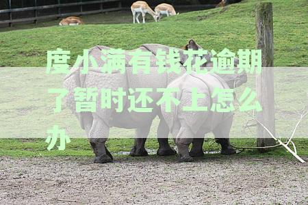 度小满有钱花债务协商还款详细指南