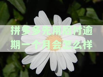 多多先用后付逾期1年了还款影响及征信问题解决方案