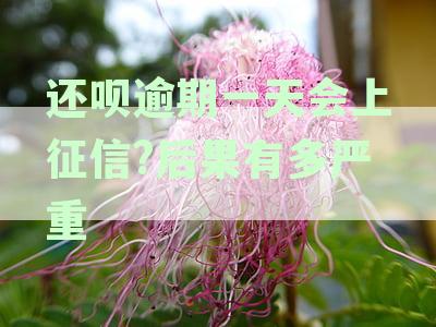 还呗逾期一天上报影响征信么,不是故意的