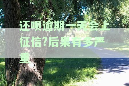 逾期一天还呗还款会产生哪些后果？