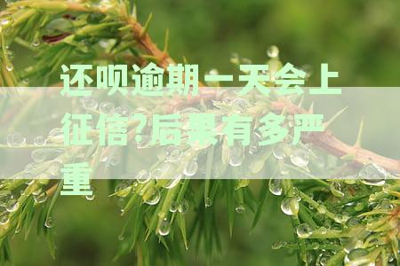 还呗逾期一天会怎样处理，逾期影响及征信问题解析