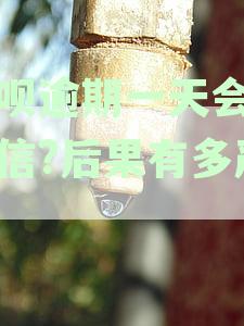 还呗逾期一天会上征信?后果有多严重