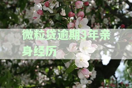 借呗80000逾期2年亲身经历:花呗借呗逾期不还会不会坐牢真实经历-花呗借呗加起来8万逾期半年了,他们真的会上门吗?
