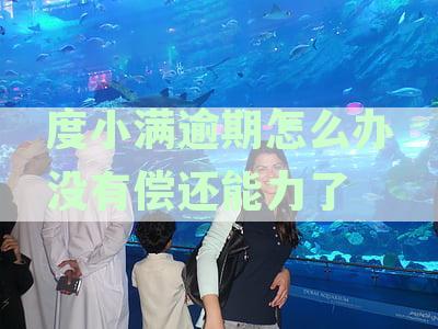 度小满逾期了会上征信吗-度小满逾期了会怎样
