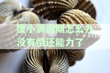 度小满逾期欠款：了解逾期的法律后果