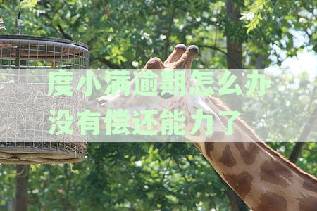 度小满逾期怎么办没有偿还能力了