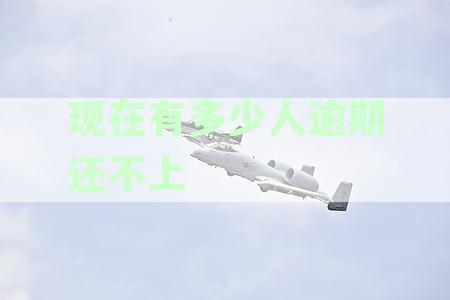 现在有多少人逾期还不上