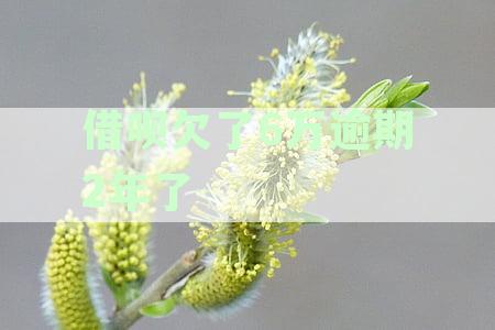 借呗欠了6万逾期2年了利息多少具体算法
