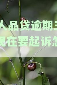 探究51人品贷三年欠款背后的原因与影响