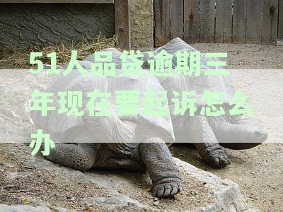 解决51人品贷逾期问题的方法和建议