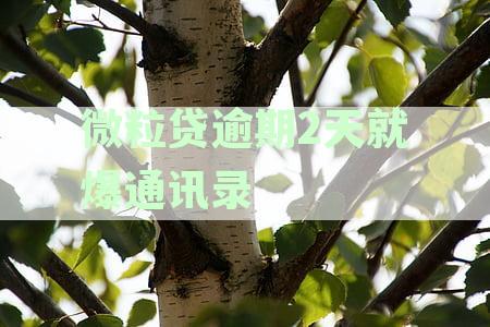 微粒贷逾期2天就爆通讯录怎么办？暴力催收两天后如何处理？