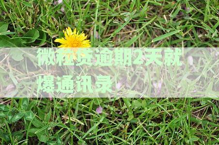微粒贷用户请注意：逾期可能影响通讯录安全