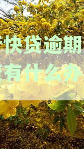 建行快贷逾期钱被秒扣怎么办？逾期后每月自动扣款是否会起诉？