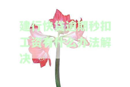 建行快贷逾期扣款时间及自动扣款周期与起诉关联