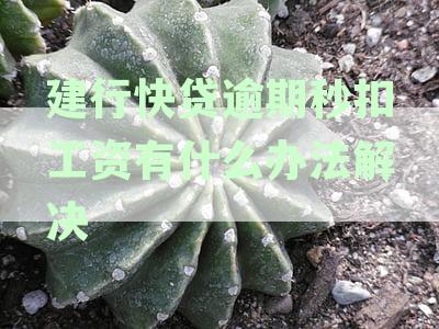 建行快贷逾期秒扣工资有什么办法解决