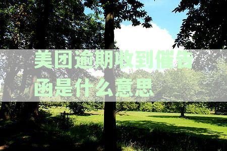 美团催告函之后还会收到类似函件吗？