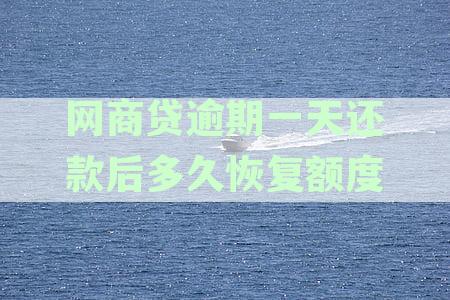 网商贷逾期一天还款后多久恢复额度
