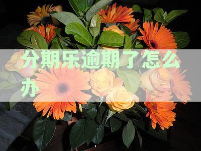 如何应对分期乐逾期以避免被列入黑名单