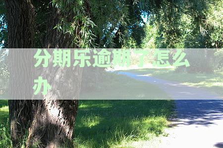 分期乐逾期还款指南：后果及解决办法
