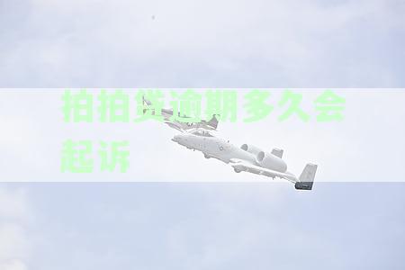 拍拍贷逾期多长时间会被起诉及成功起诉的时间