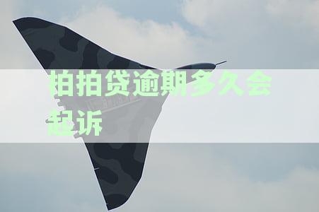 2020拍拍贷逾期多久上征信后果有多严重，征信几年消除
