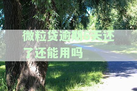 微粒贷逾期六天会导致多大比例的使用限制