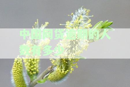 中国网贷逾期的人数有多少