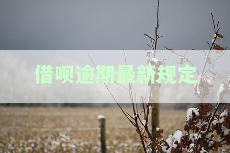 借呗逾期最新规定还款时间的具体要求