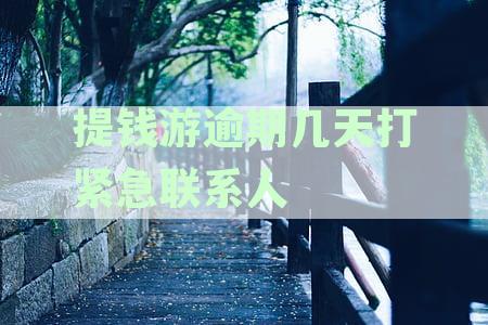 提钱游逾期三天会打电话给紧急联系人么