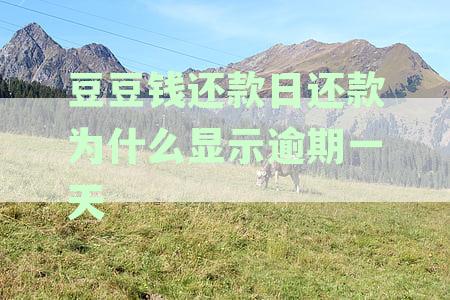 豆豆钱为什么还款日不扣费显示下一期一起还款中